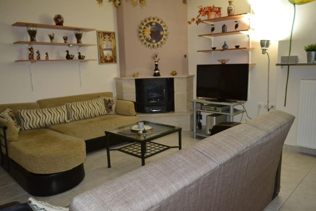 ネア・ミカニオーナVasiliki'S Cosy Houseアパートメント エクステリア 写真