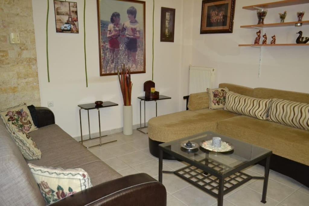 ネア・ミカニオーナVasiliki'S Cosy Houseアパートメント エクステリア 写真