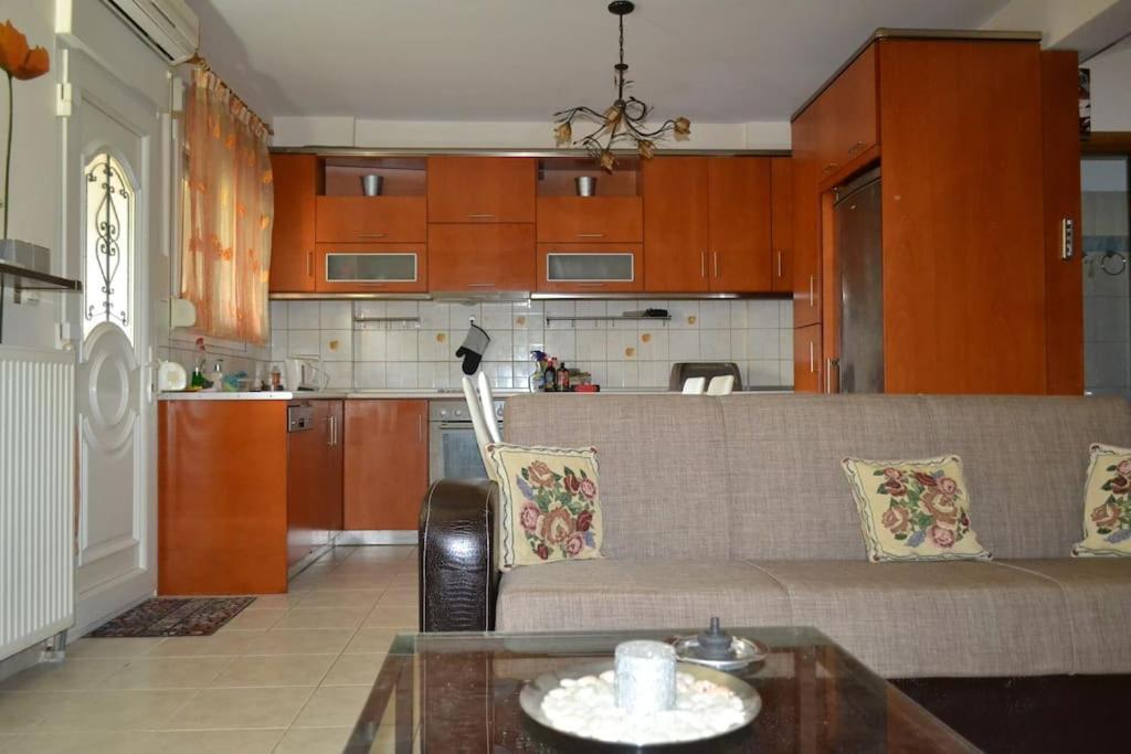 ネア・ミカニオーナVasiliki'S Cosy Houseアパートメント エクステリア 写真